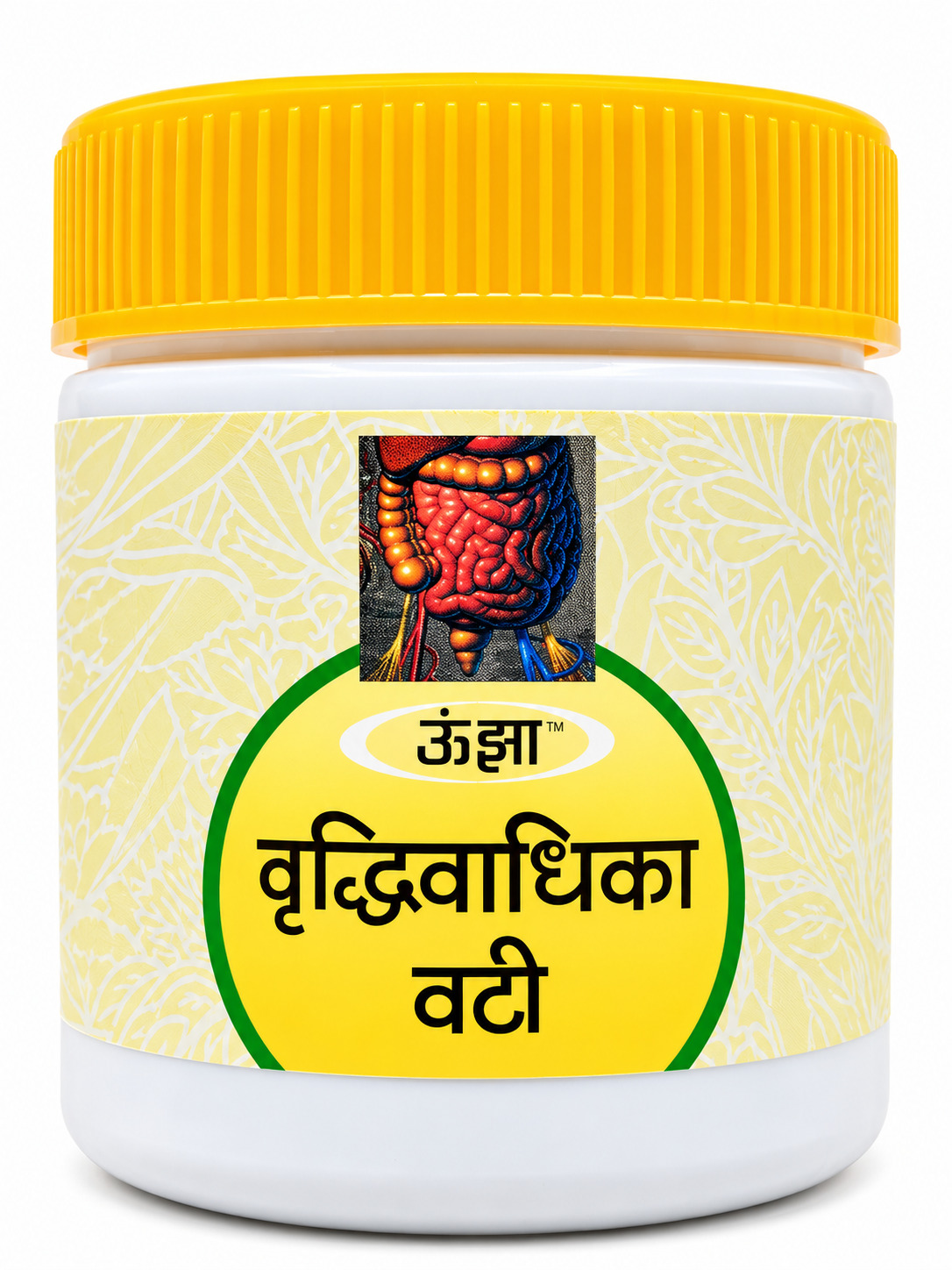 Vruddhi Vadhika Vati 200 Tab