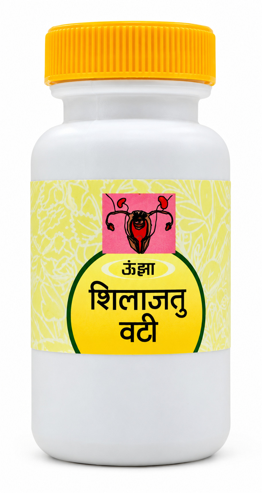 Shilajatu Vati 200 Tab